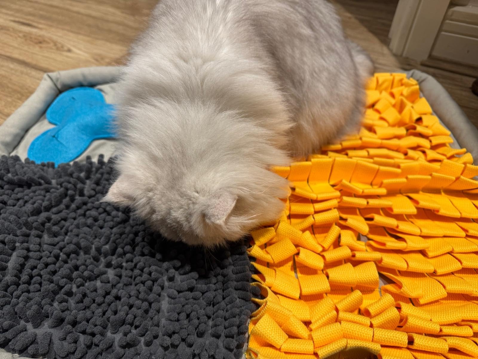 Cat playing with the snuffle mat