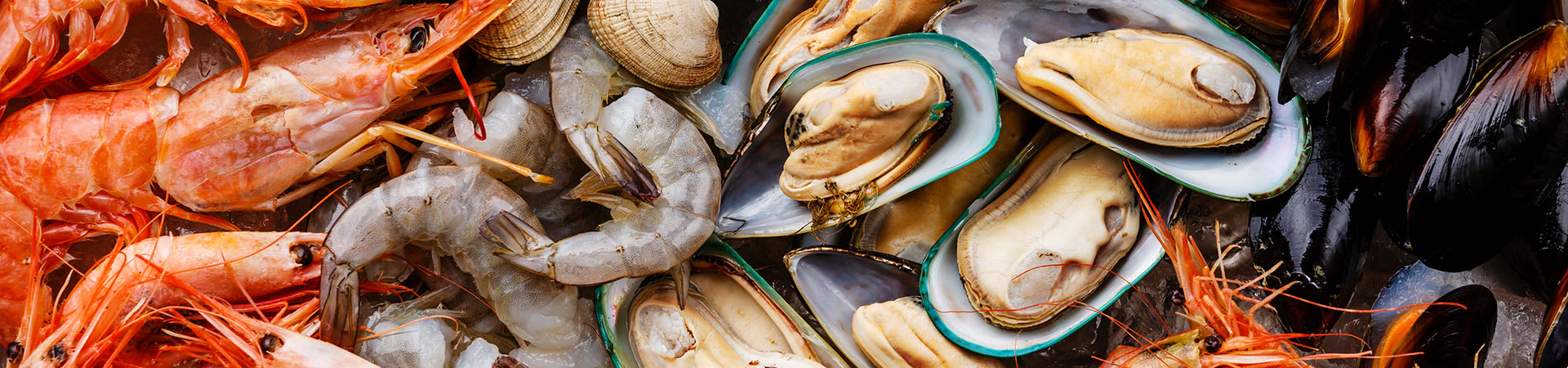 Order Fresh Shellfish Online | Adelphia Seafood, Pennsylvania