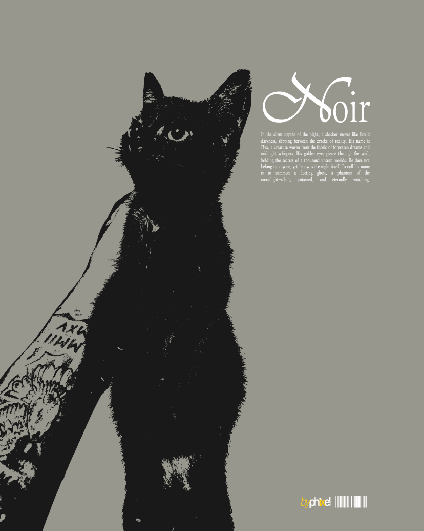 An image of the NOiR Design.