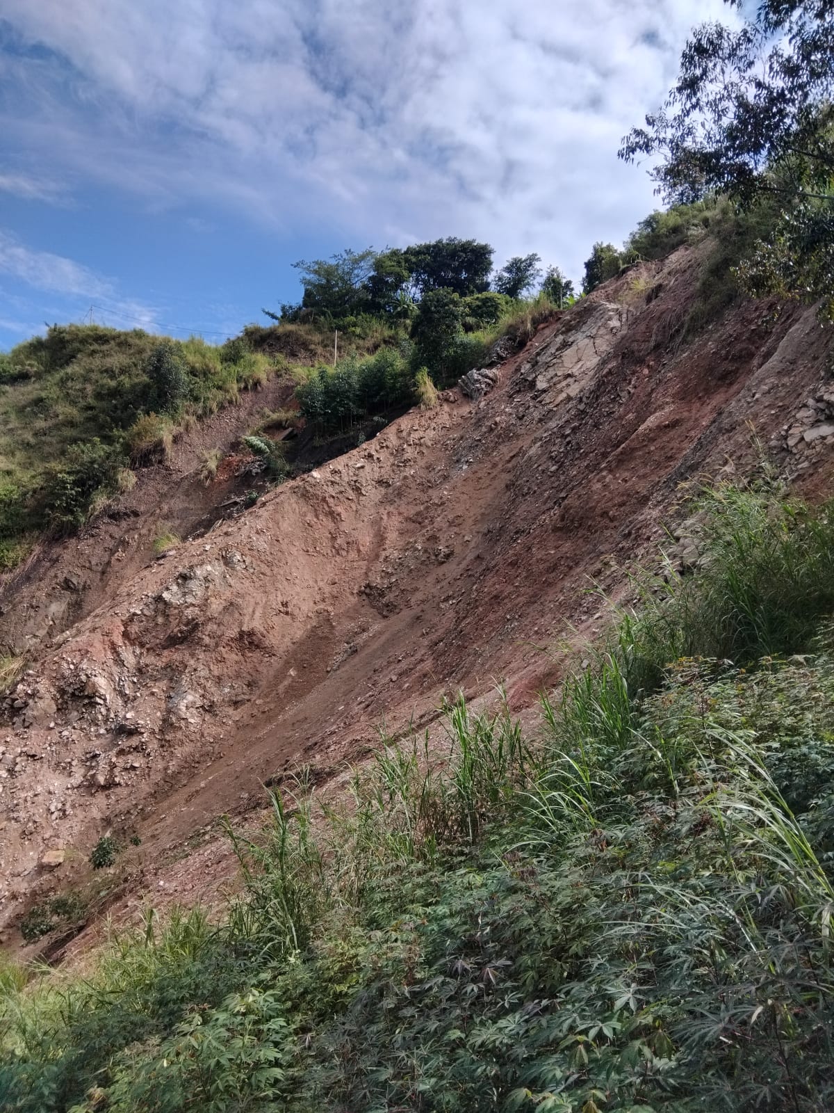 Landslide mitigation and remediation