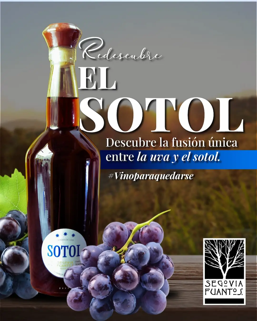 Post 1 Segovia Fuantos