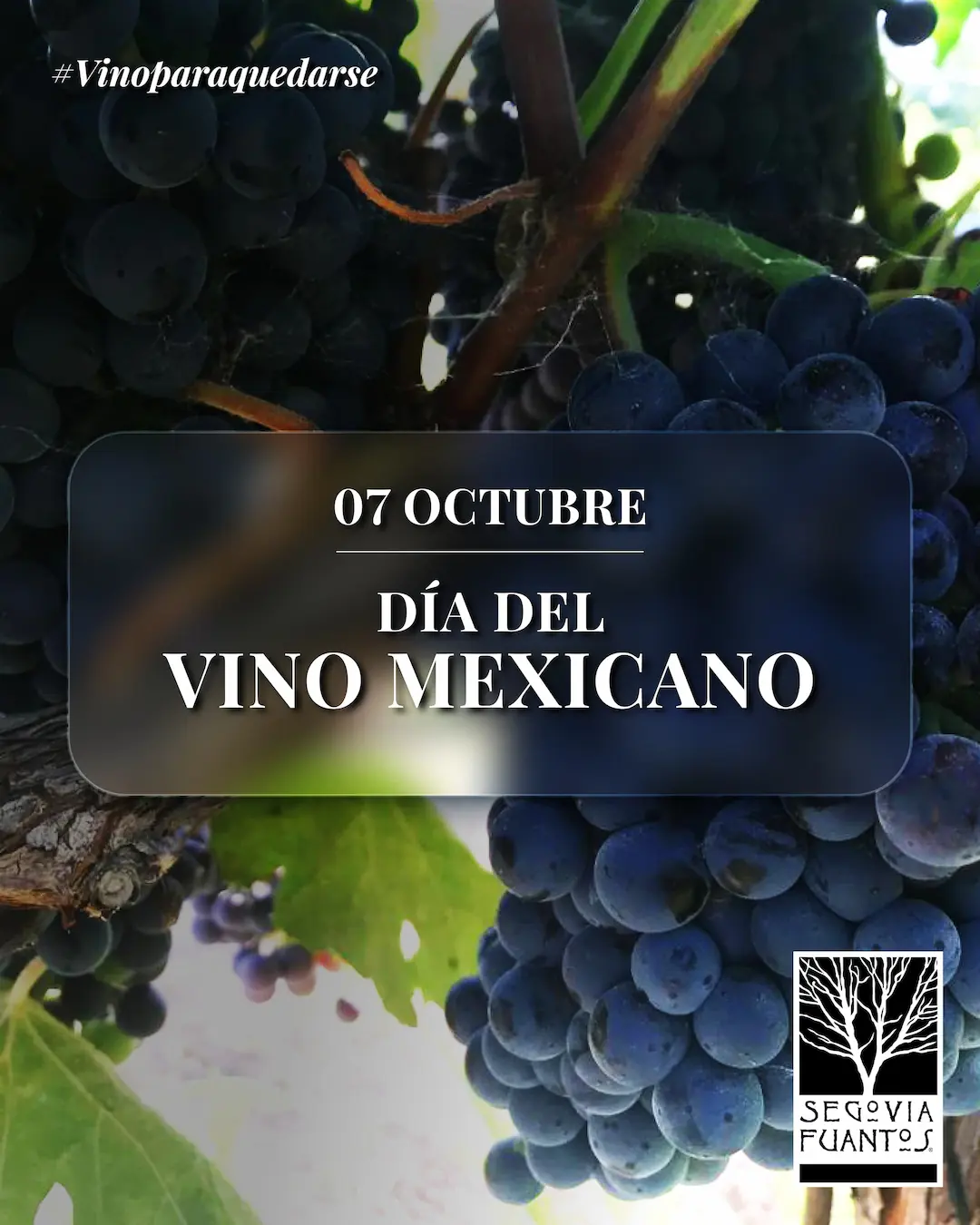 Post 1 Segovia Fuantos