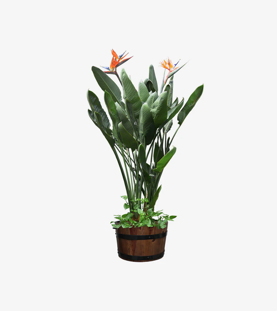 Residential Landscape Garden - Green Valley Township gallery