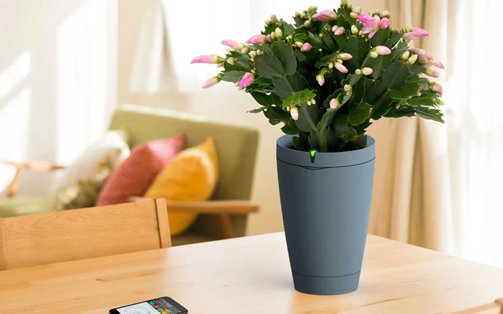 Temple Courtyard Restoration - Sri Anjaneya Temple gallery