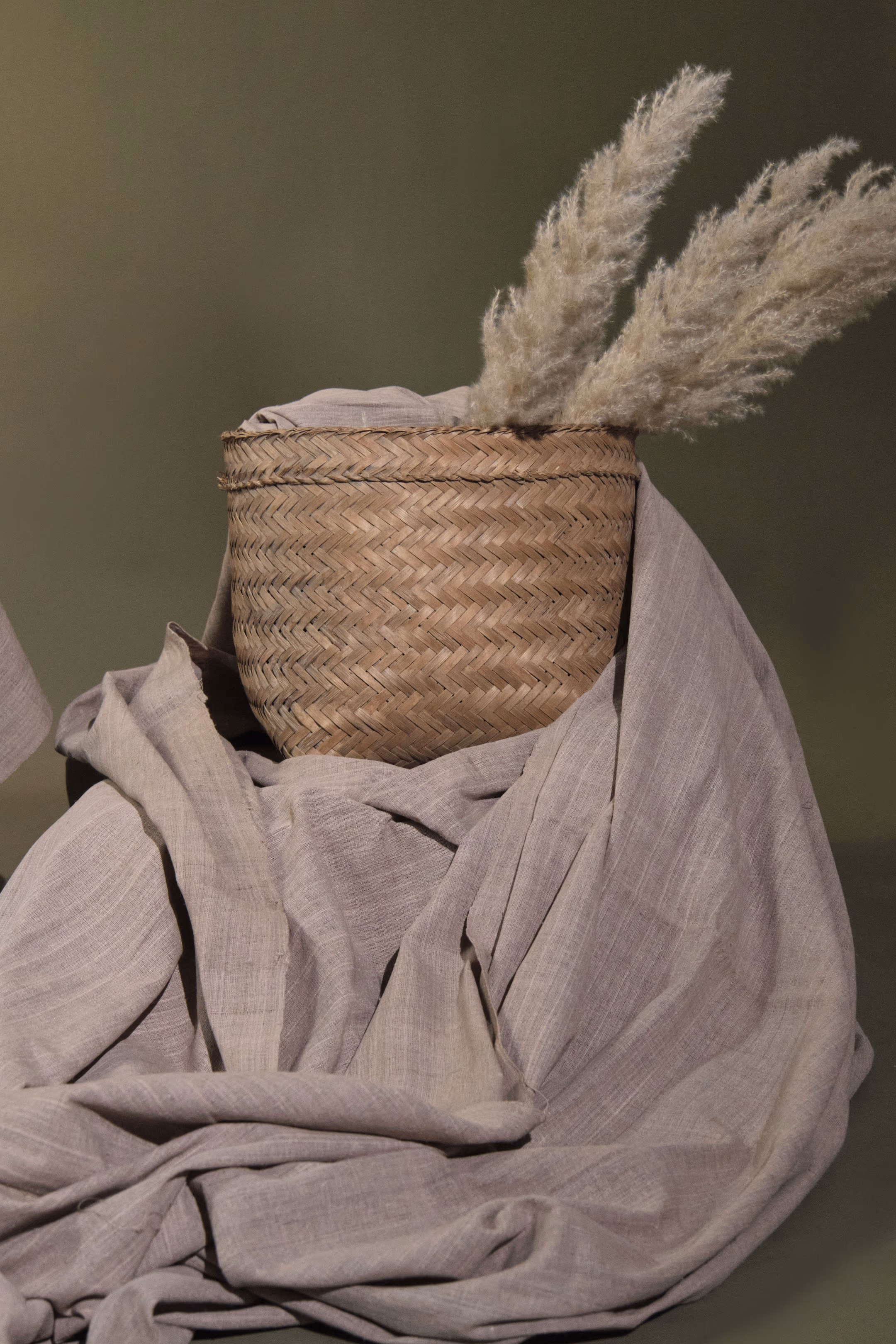 Eri Silk Plain Weave Tea Dyed Fabric Beige thumbnail 1