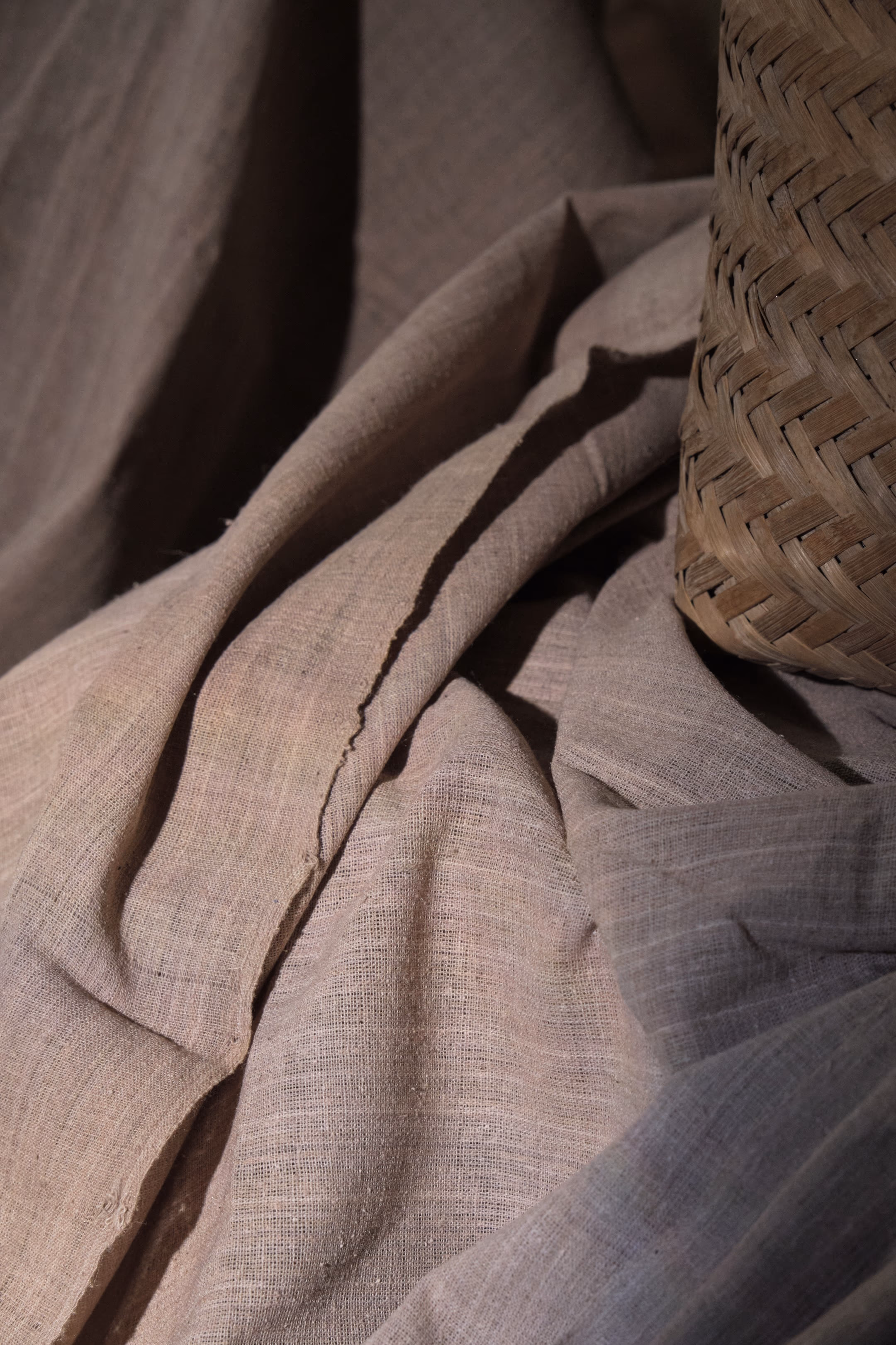 Eri Silk Plain Weave Tea Dyed Fabric Beige thumbnail 3