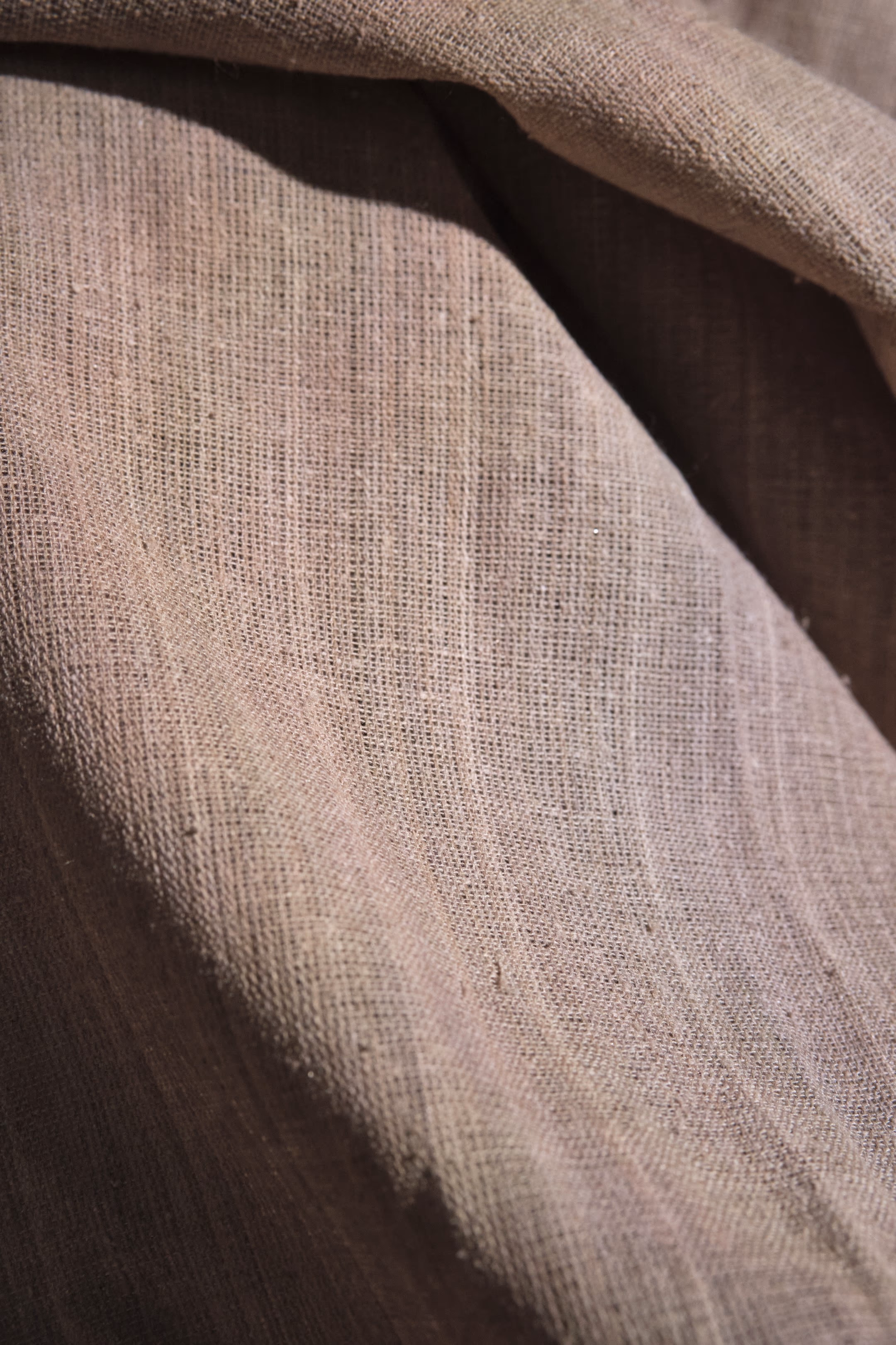 Eri Silk Plain Weave Tea Dyed Fabric Beige thumbnail 5
