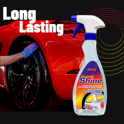 WS Car Clean Waterless