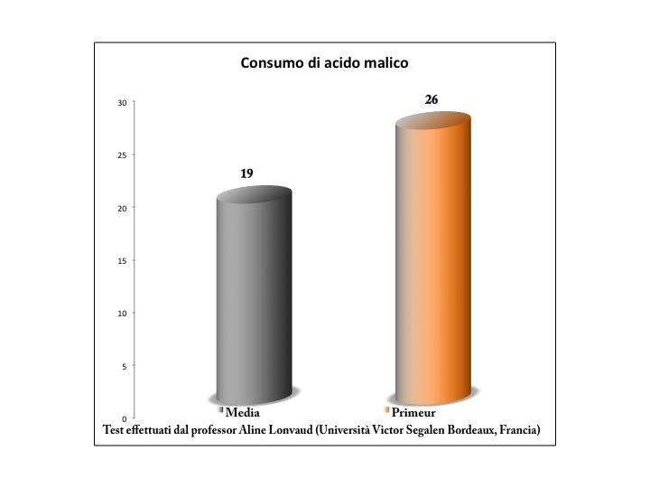 PRIMEUR | Saccharomyces cerevisiae