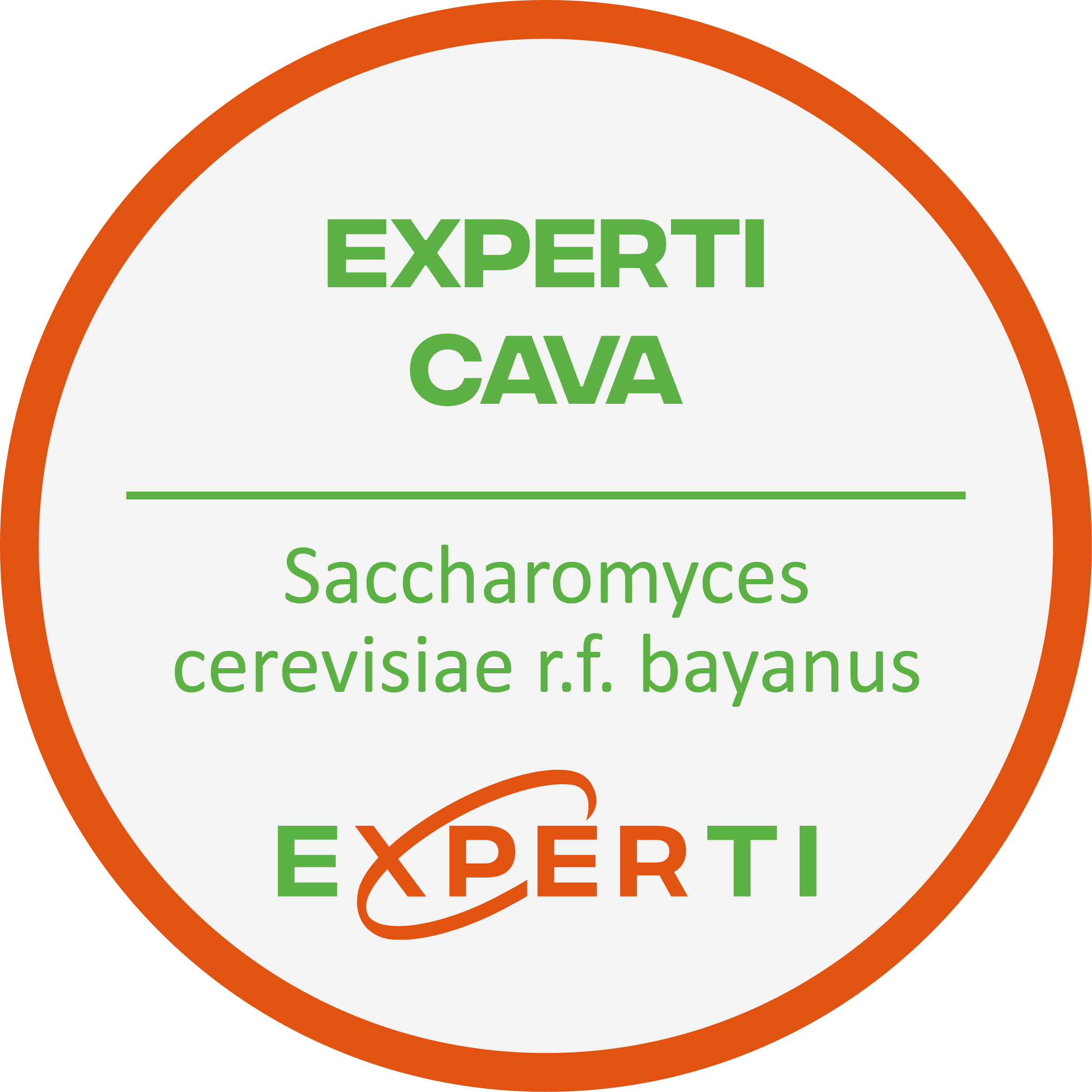 EXPERTI-CAVA