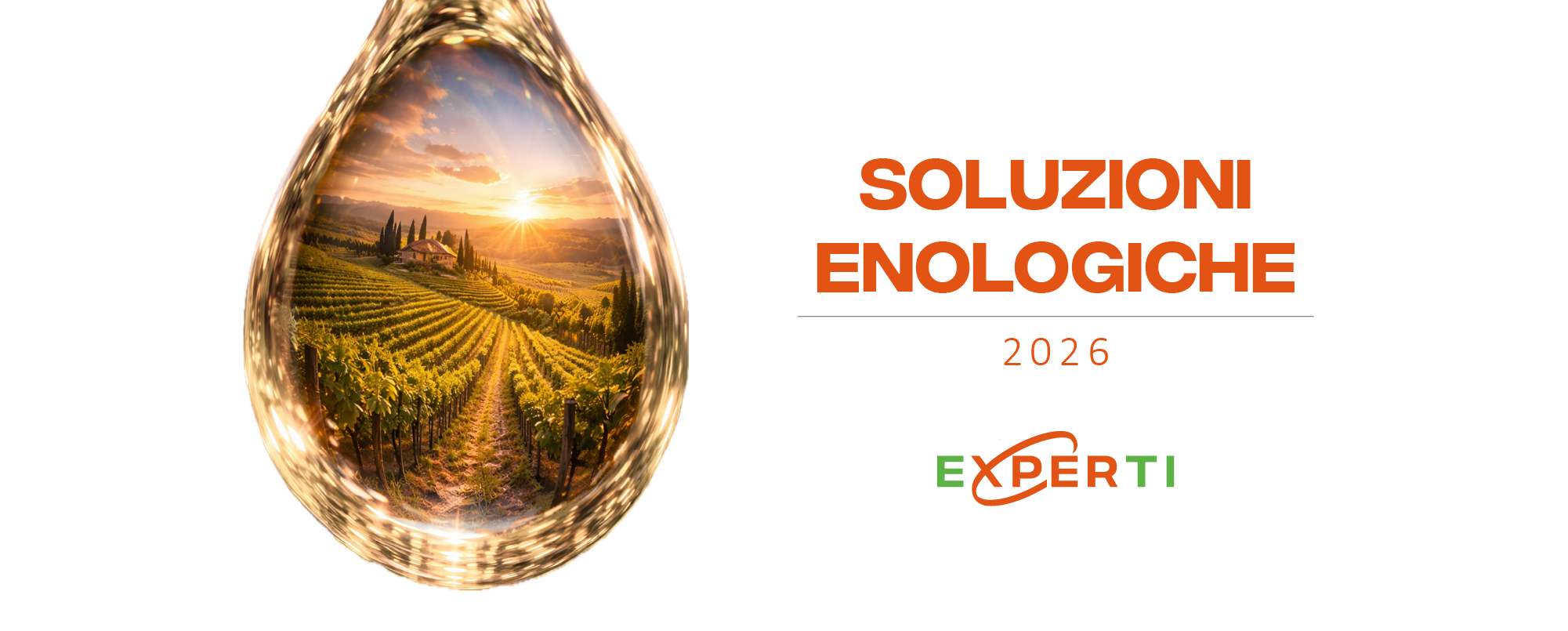 Nurture your innovation with our expertise