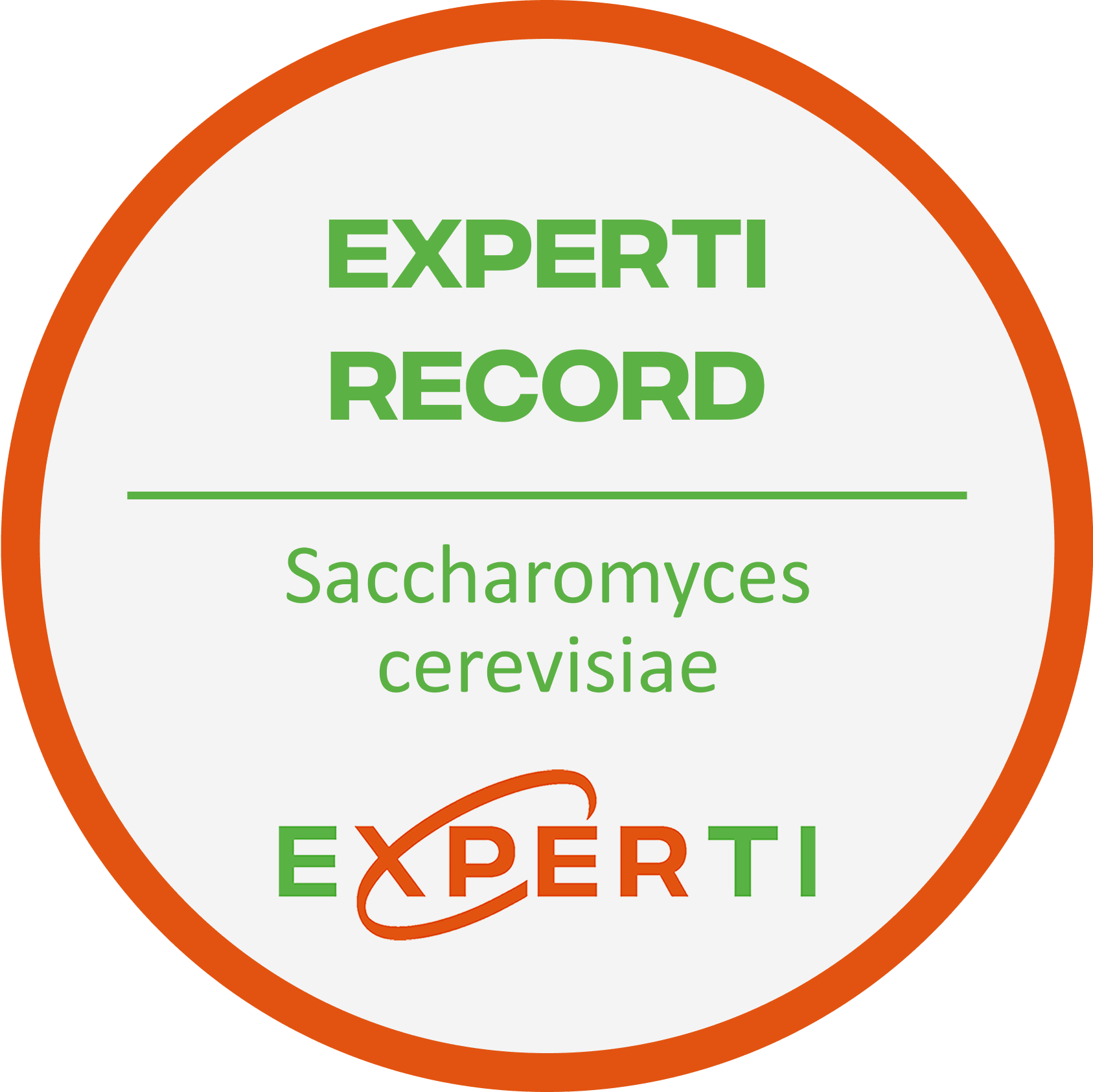 RECORD | Saccharomyces cerevisiae