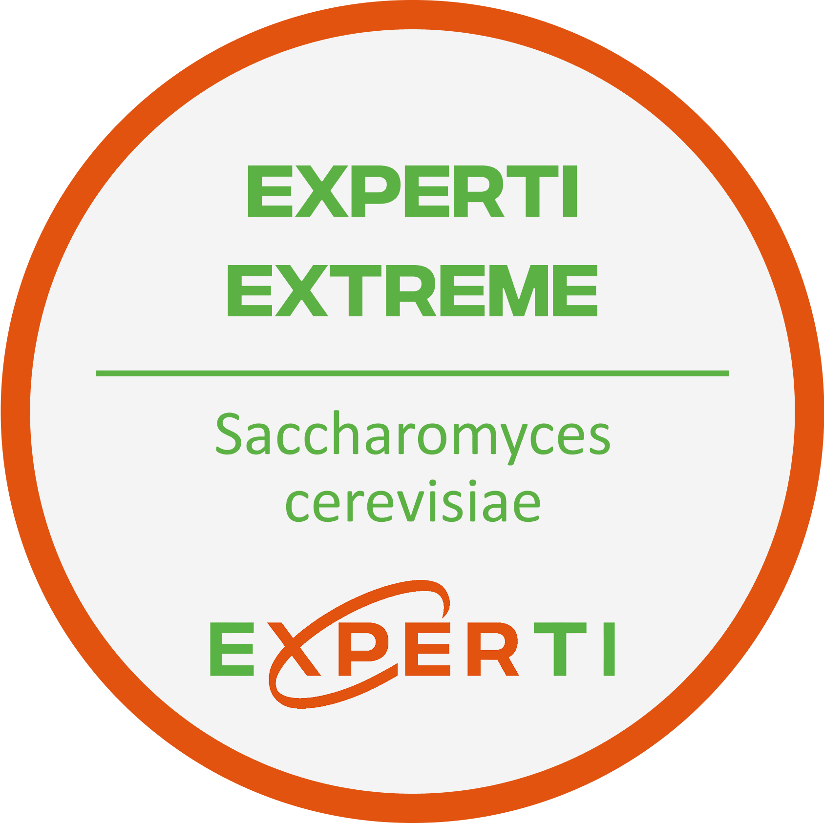 EXPERTI EXTREME | Saccharomyces cerevisiae
