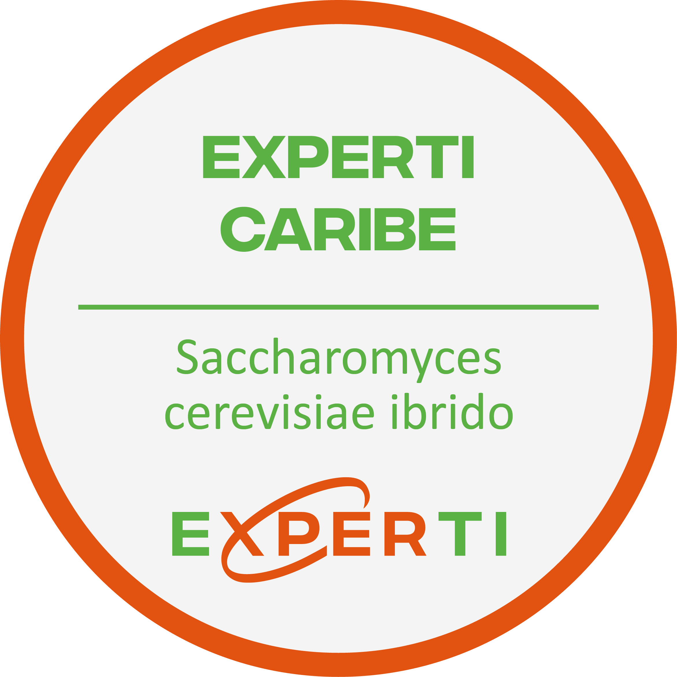CARIBE | Saccharomyces cerevisiae hybride