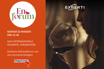 Experti-enoforum-2025