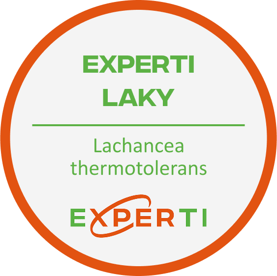 EXPERTI Laky | Lachancea thermotolerans