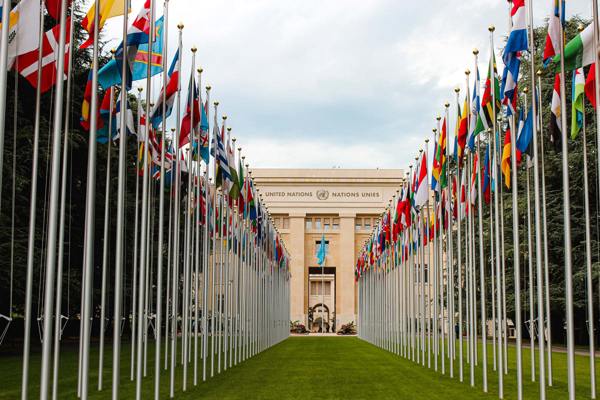 istoria-onu istoria-onu