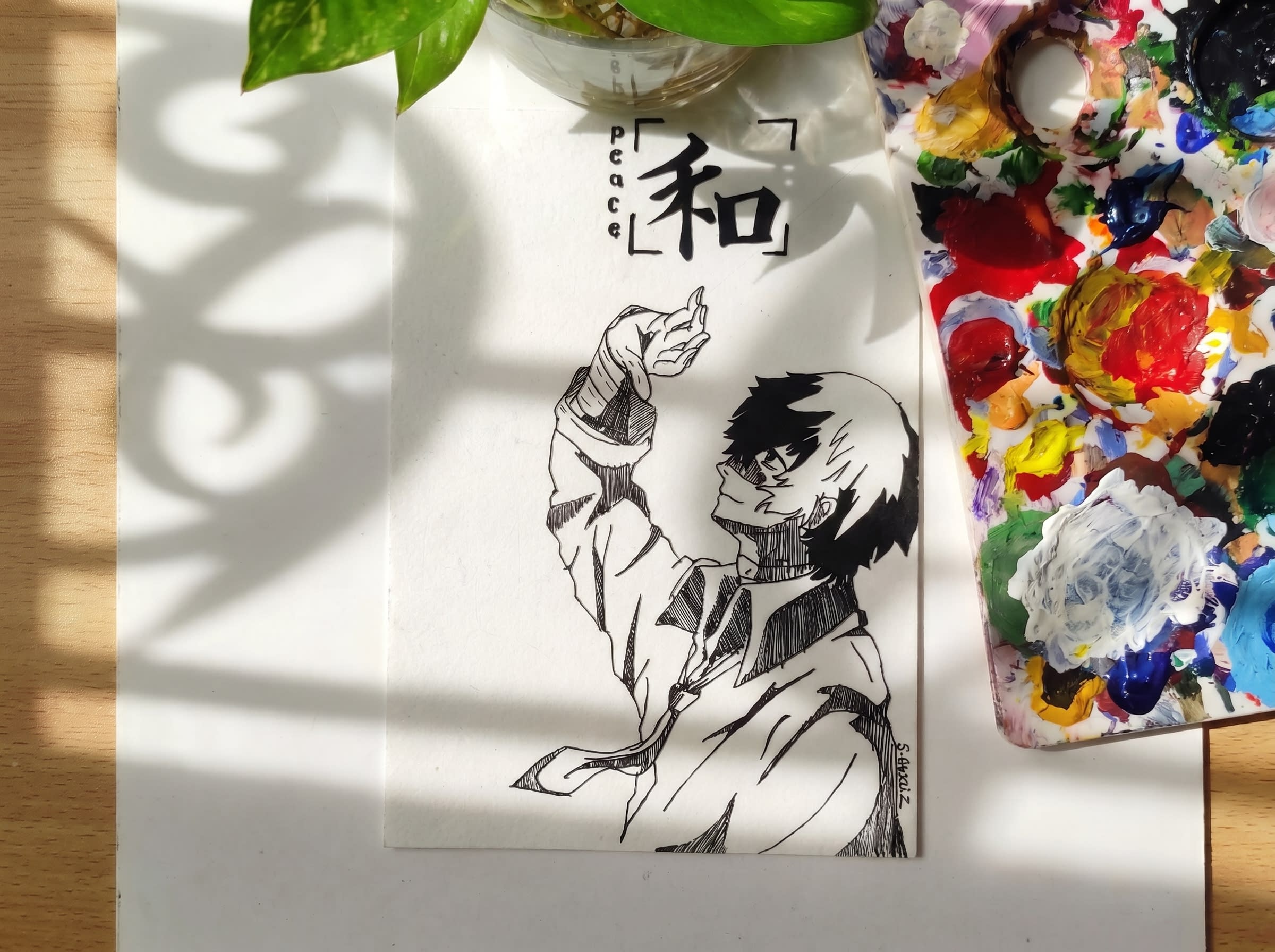 Peace in Shadows