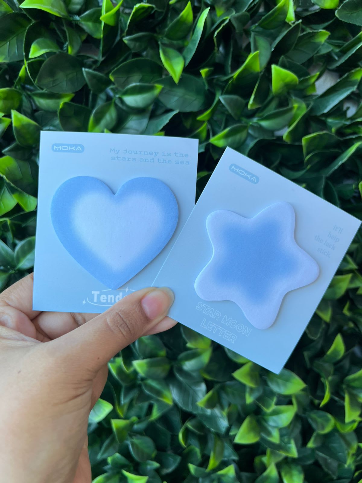 Imagen principal del producto