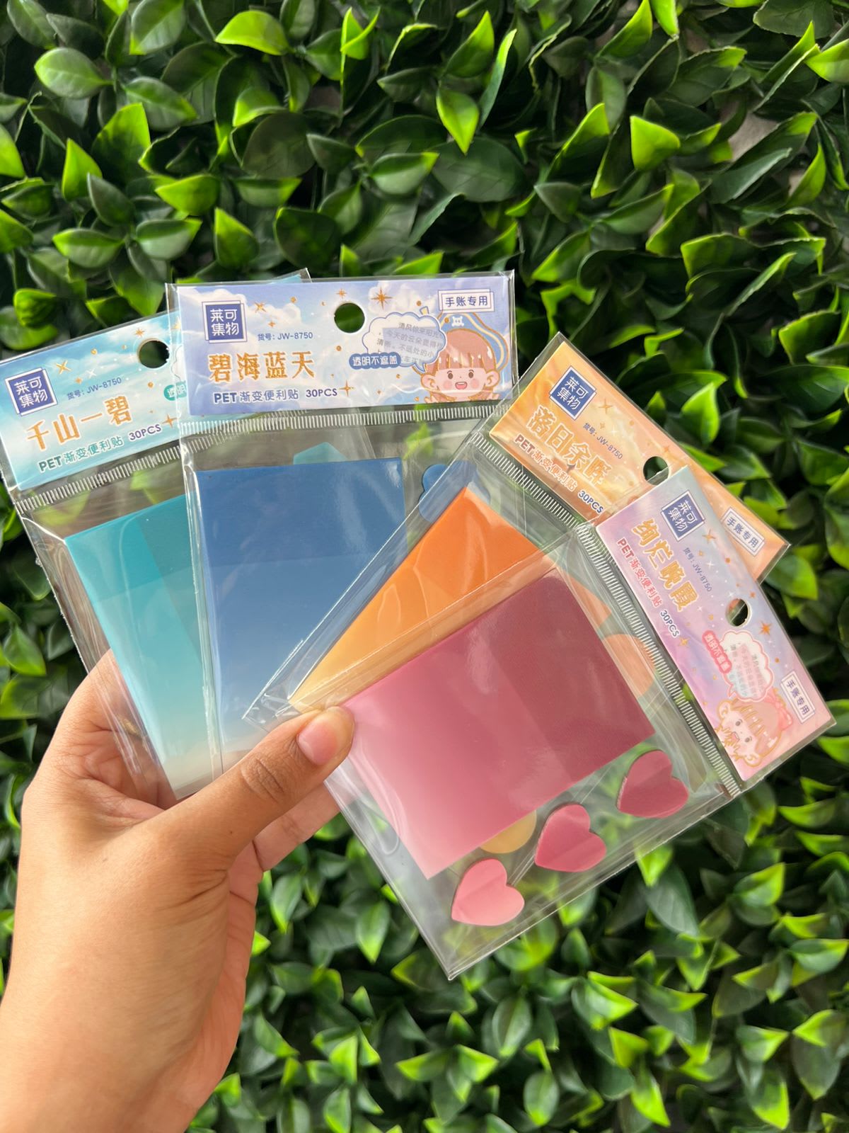 Imagen principal del producto