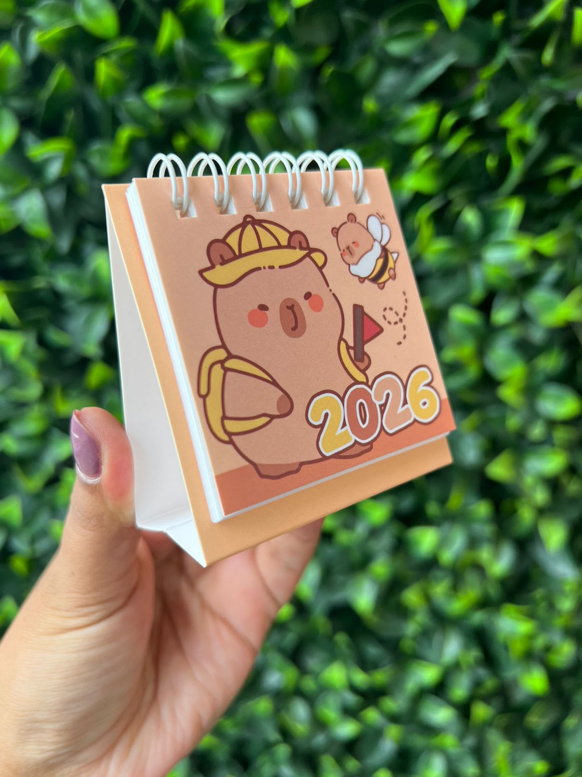 Calendario mini Capibara 2026