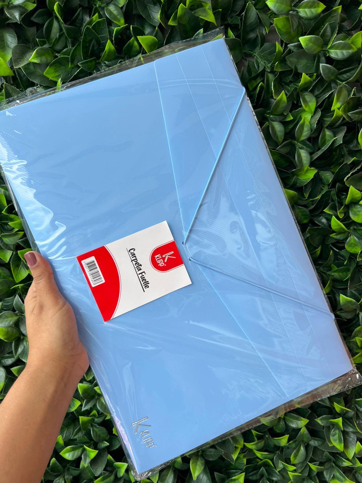 Imagen principal del producto