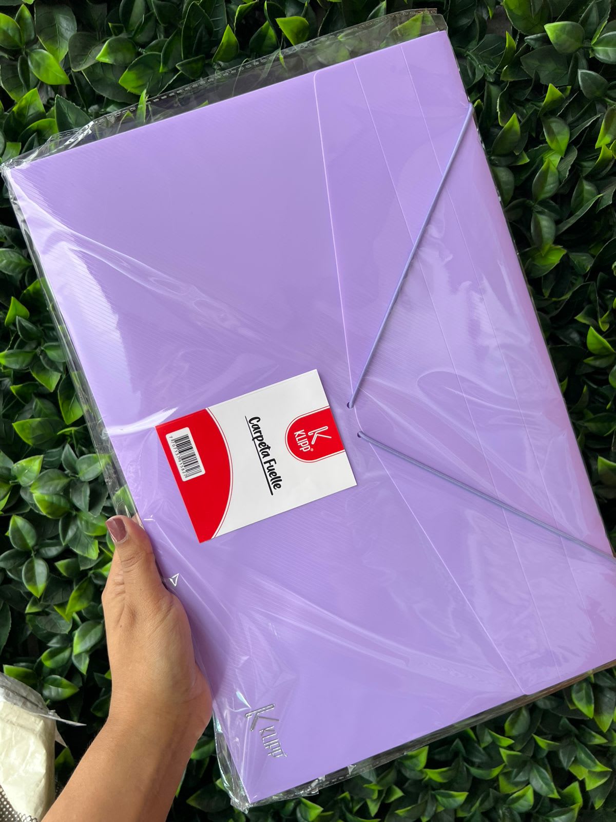 Imagen principal del producto