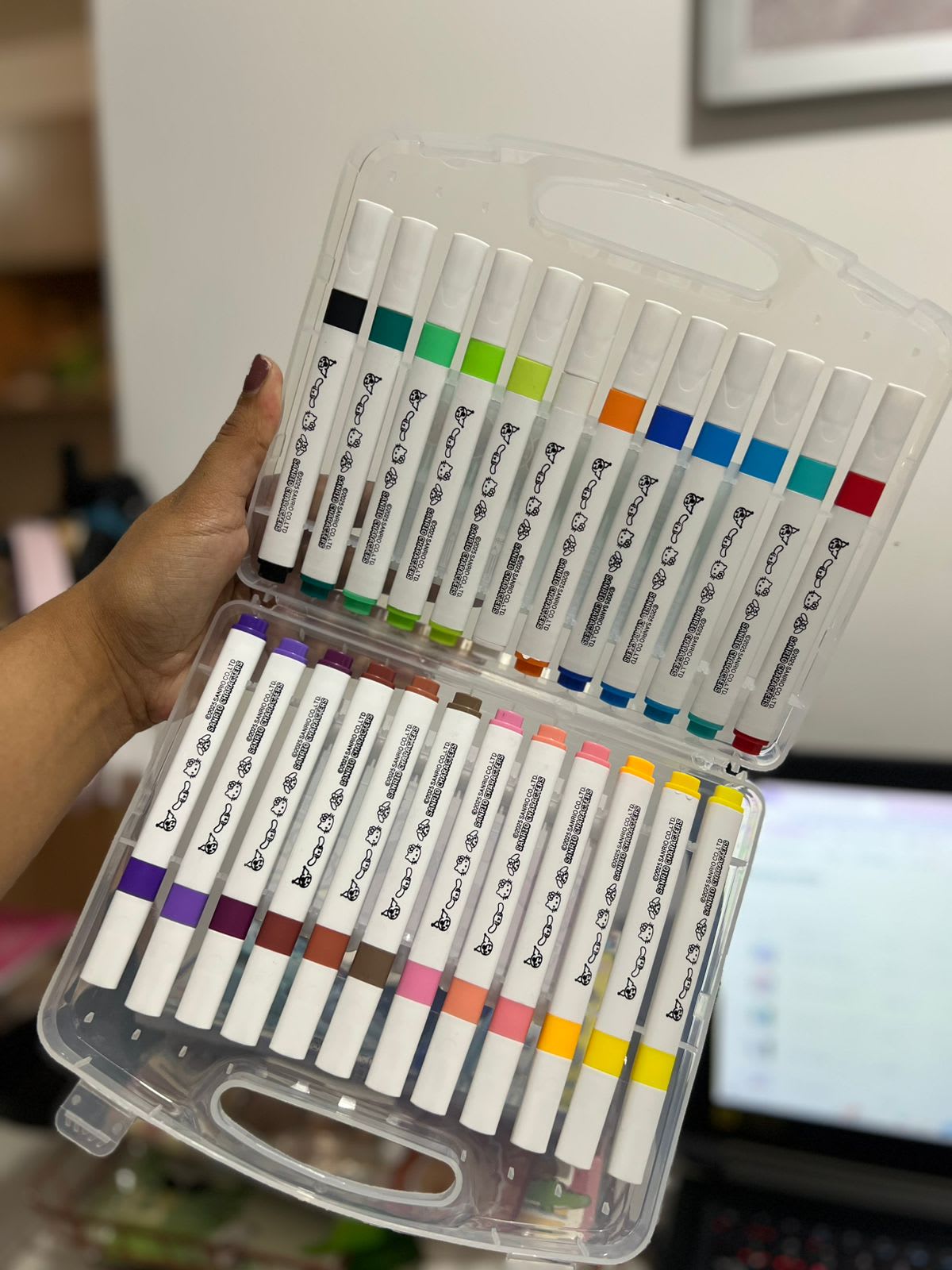 Marcadores acrílicos SANRIO x24