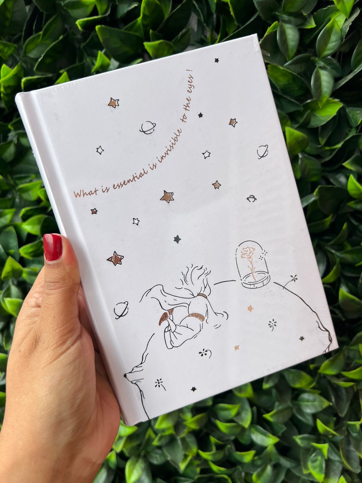 Imagen principal del producto