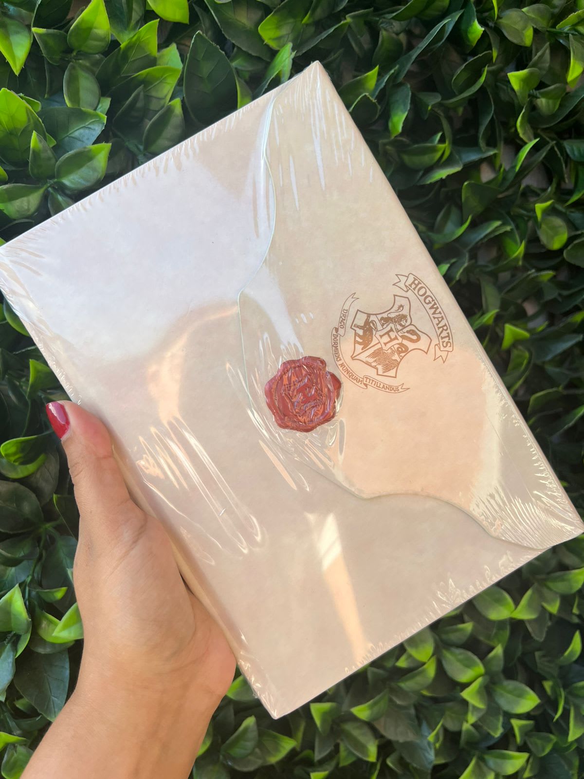 Agenda sobre de Harry Potter