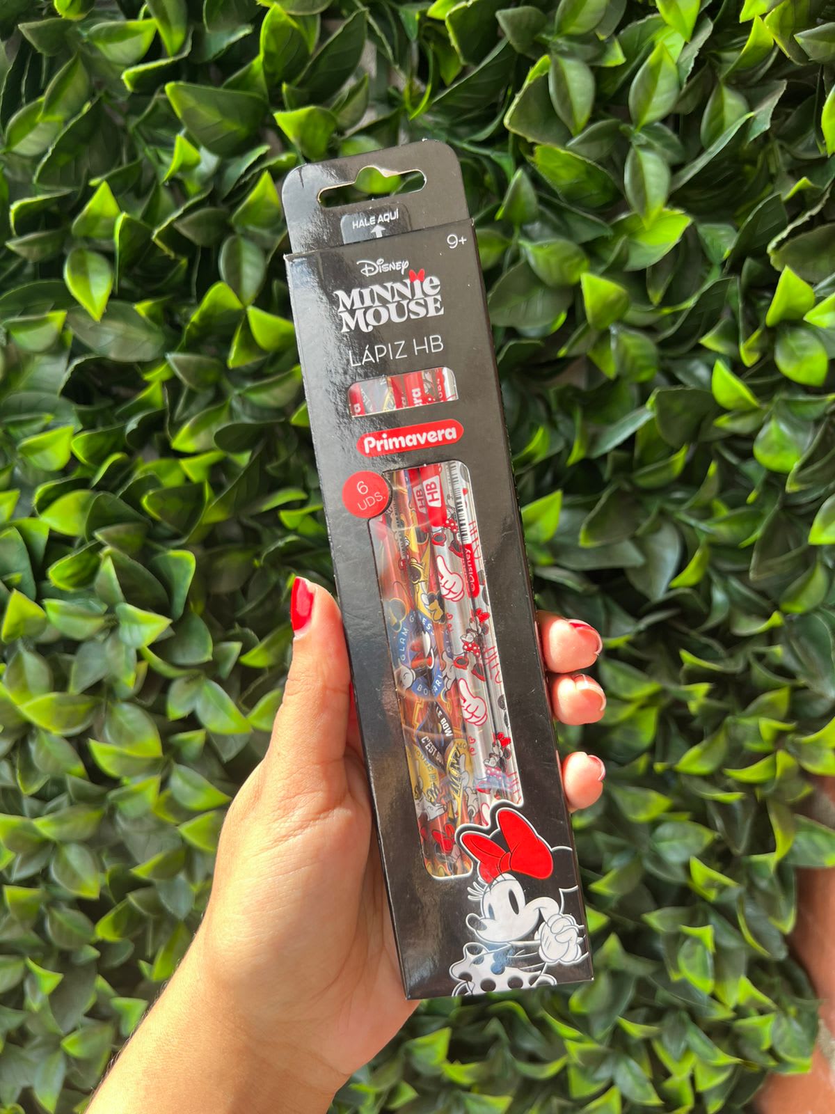 Lapices x6 personajes