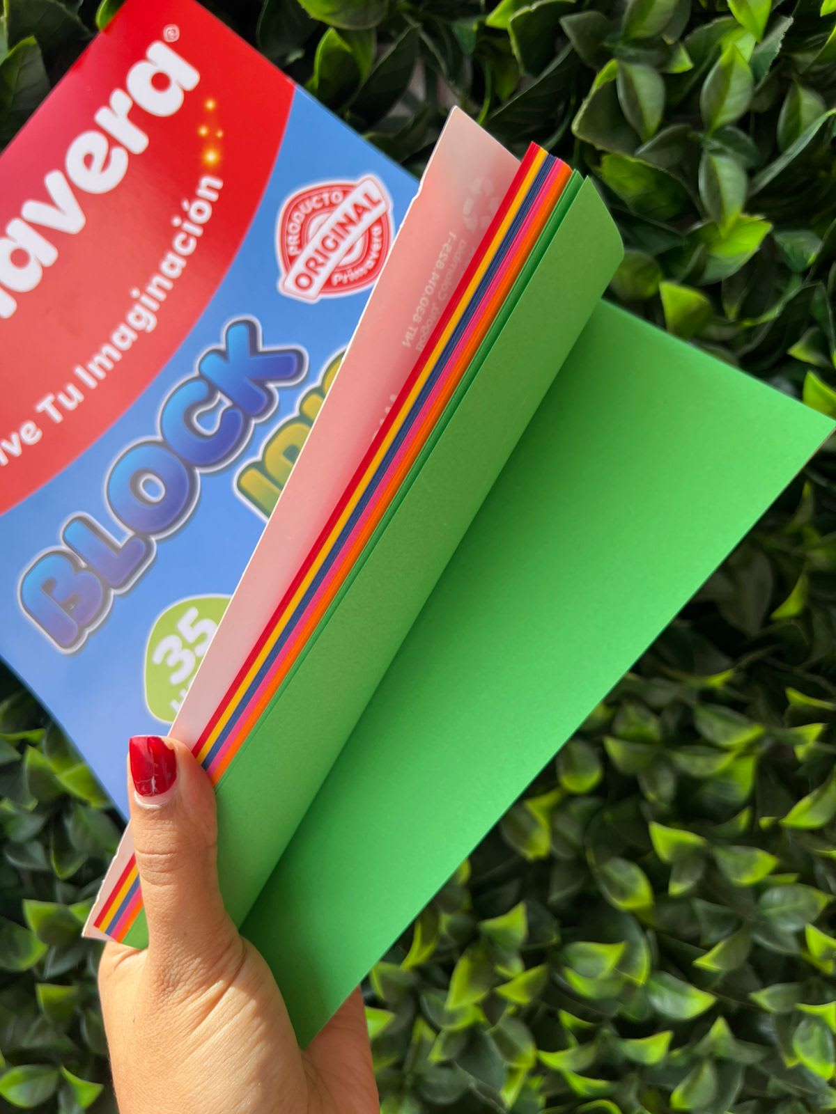 Imagen principal del producto