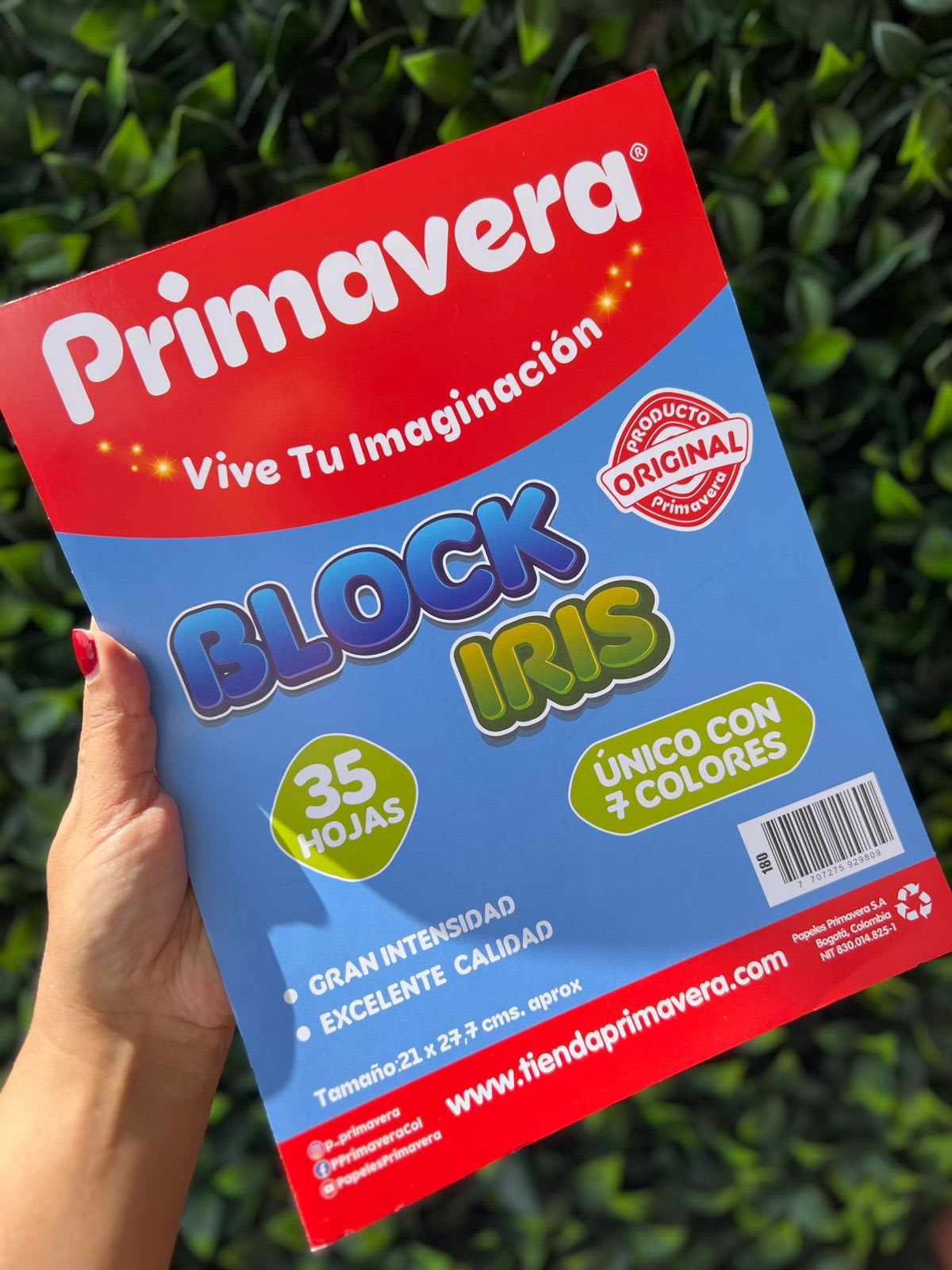 Block iris x35 hojas