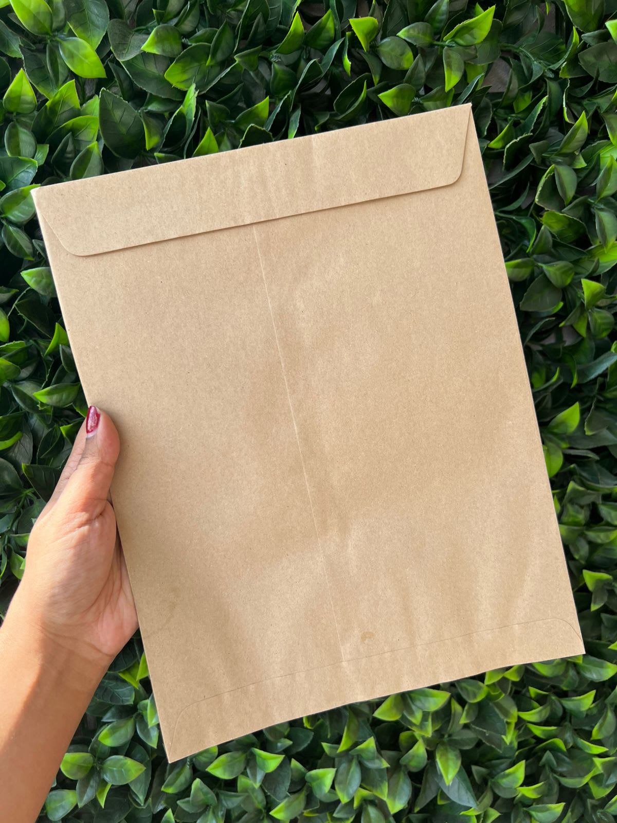 Imagen principal del producto