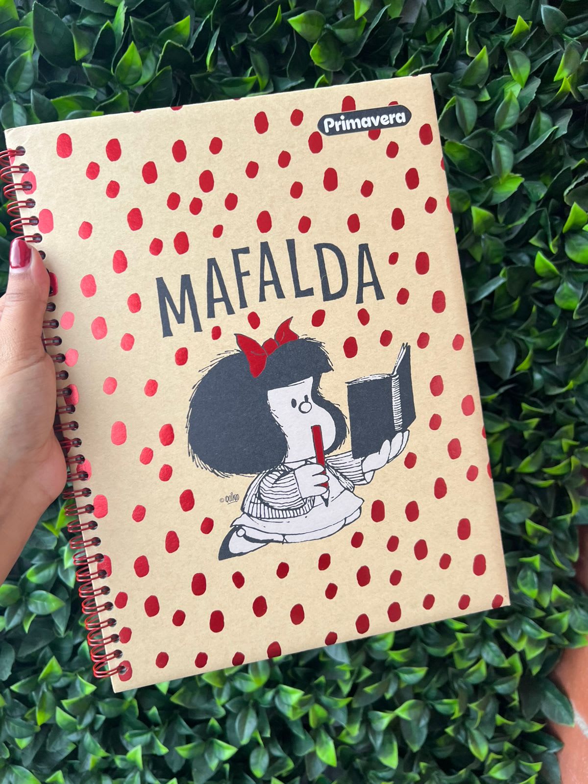 Imagen principal del producto