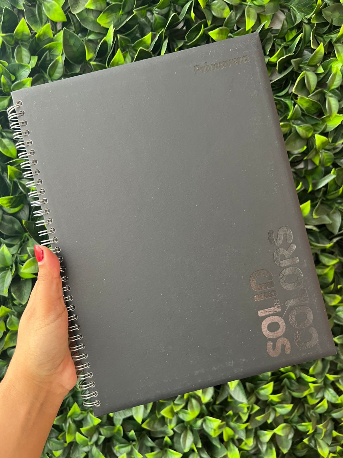 Imagen principal del producto