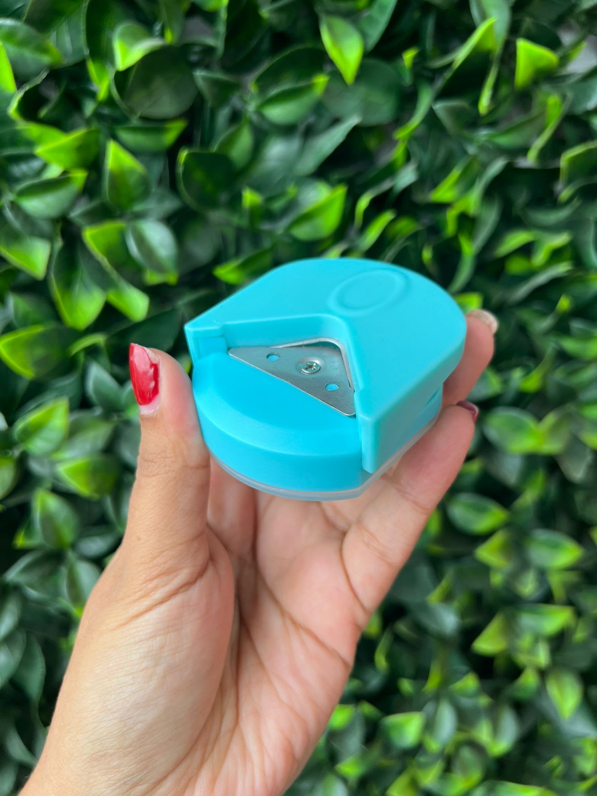 Imagen principal del producto