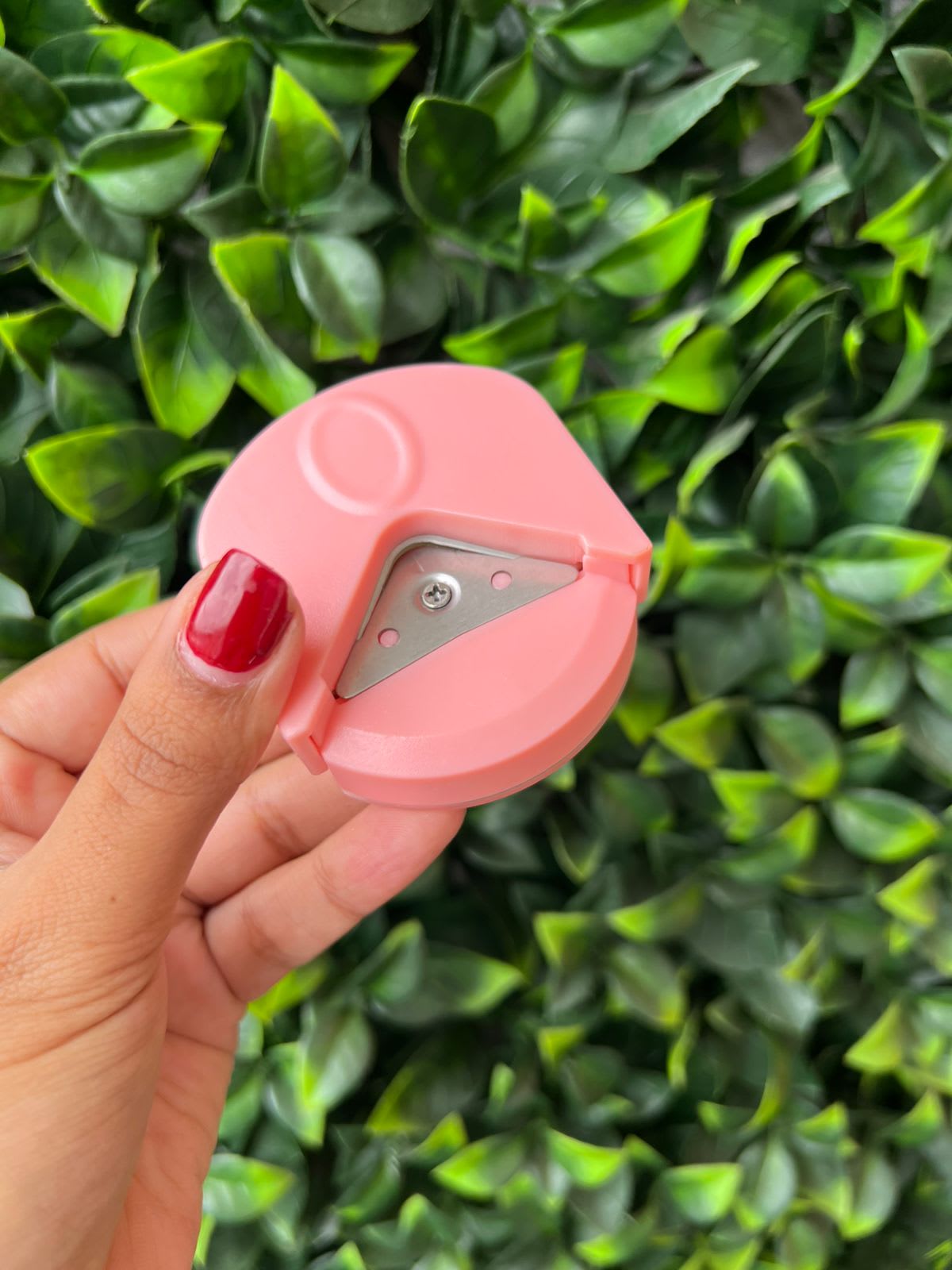 Imagen principal del producto