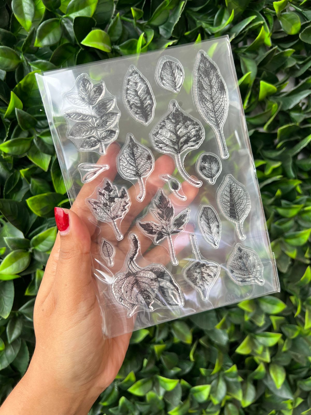 Imagen principal del producto