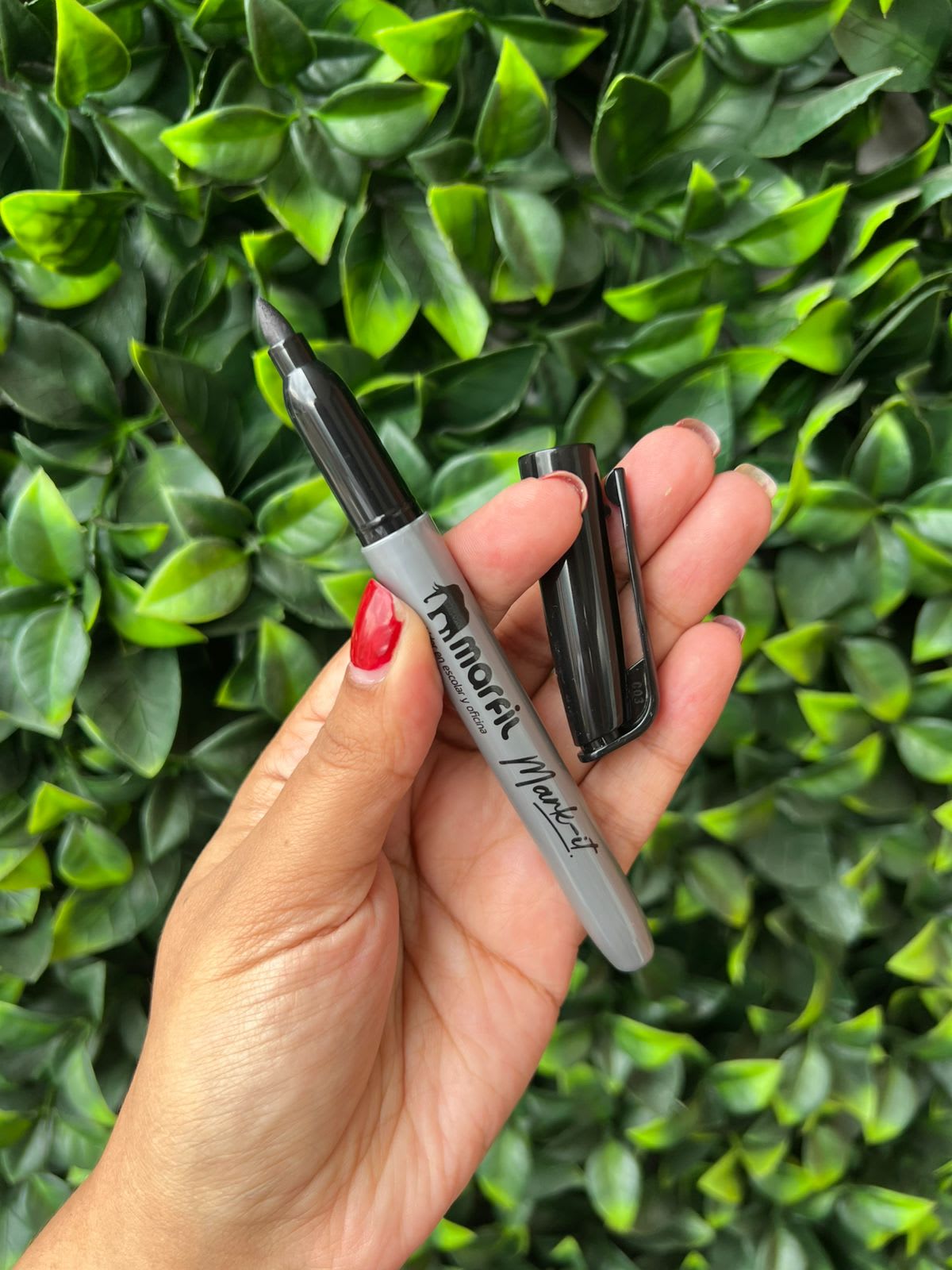 Imagen principal del producto