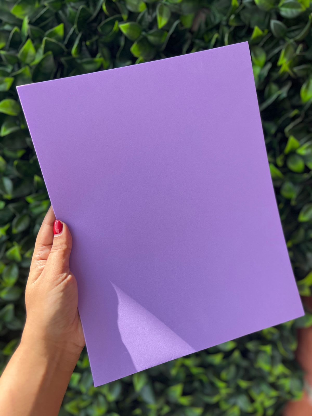 Imagen principal del producto