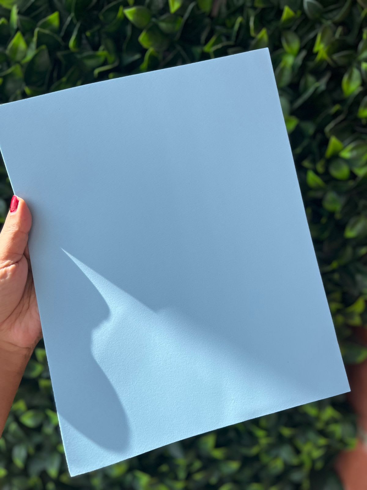 Imagen principal del producto