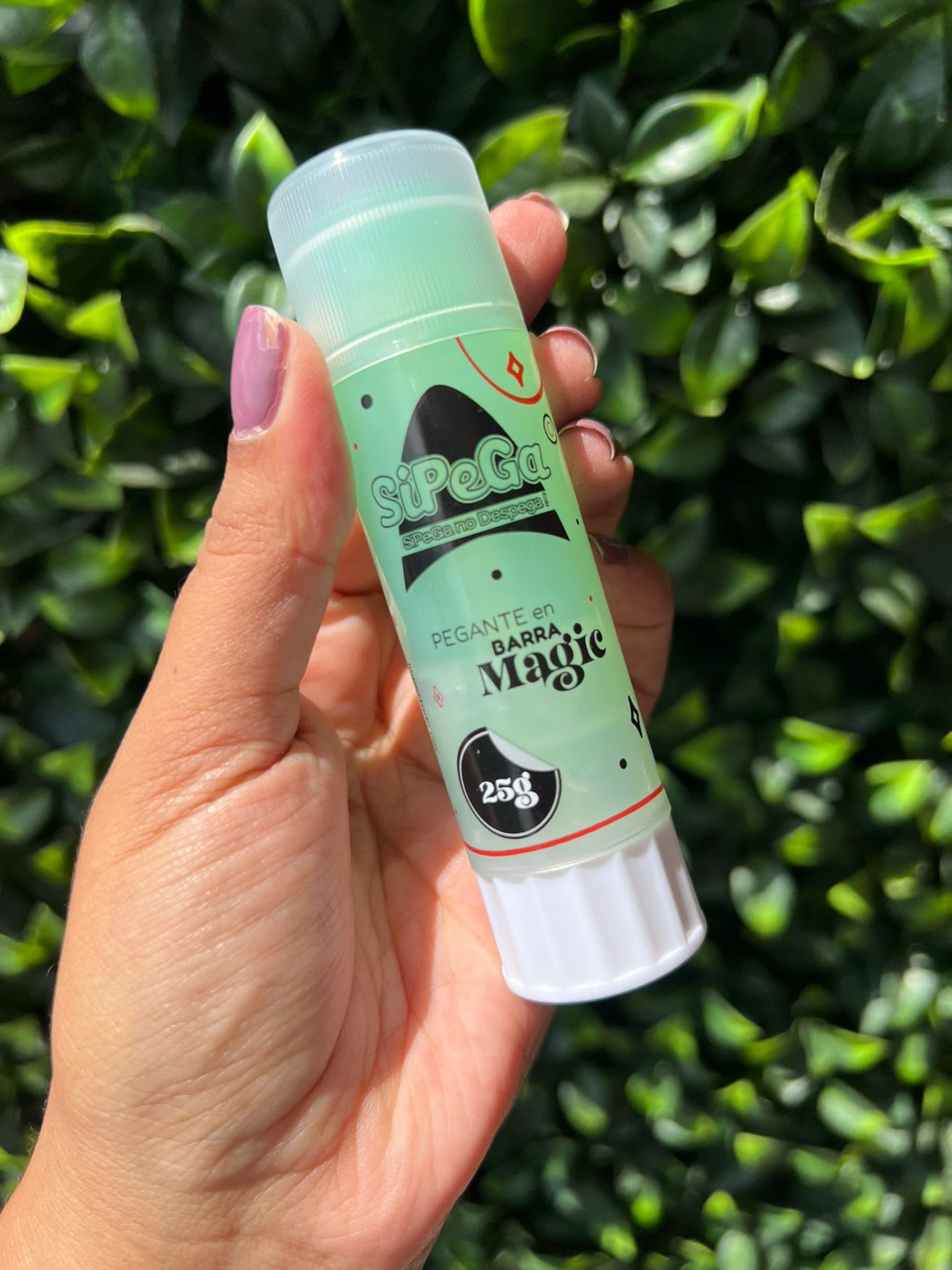 Imagen principal del producto