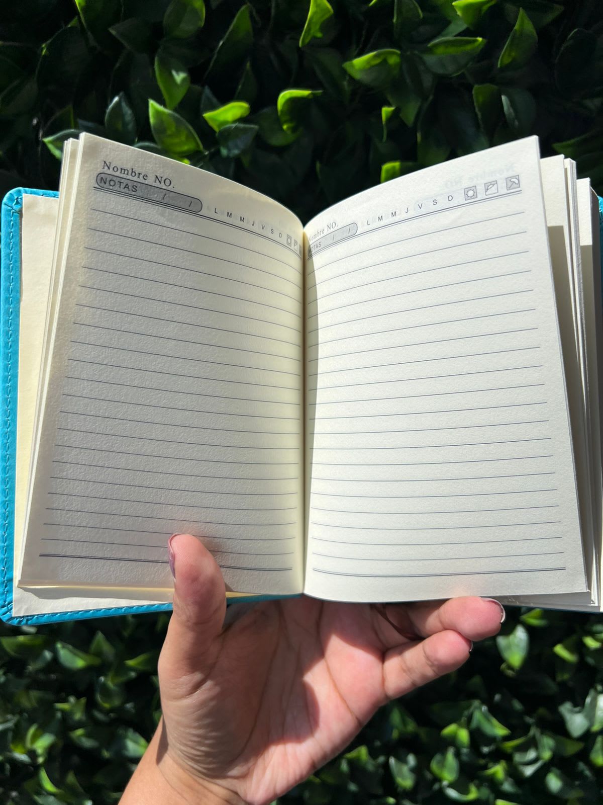 Agenda mini permanente