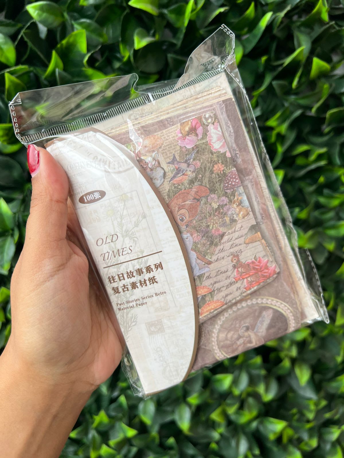 Imagen principal del producto