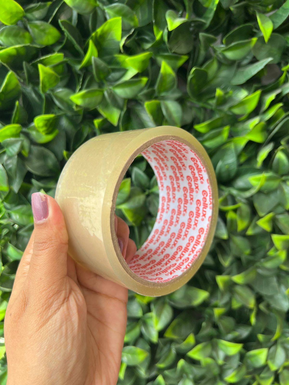 Imagen principal del producto