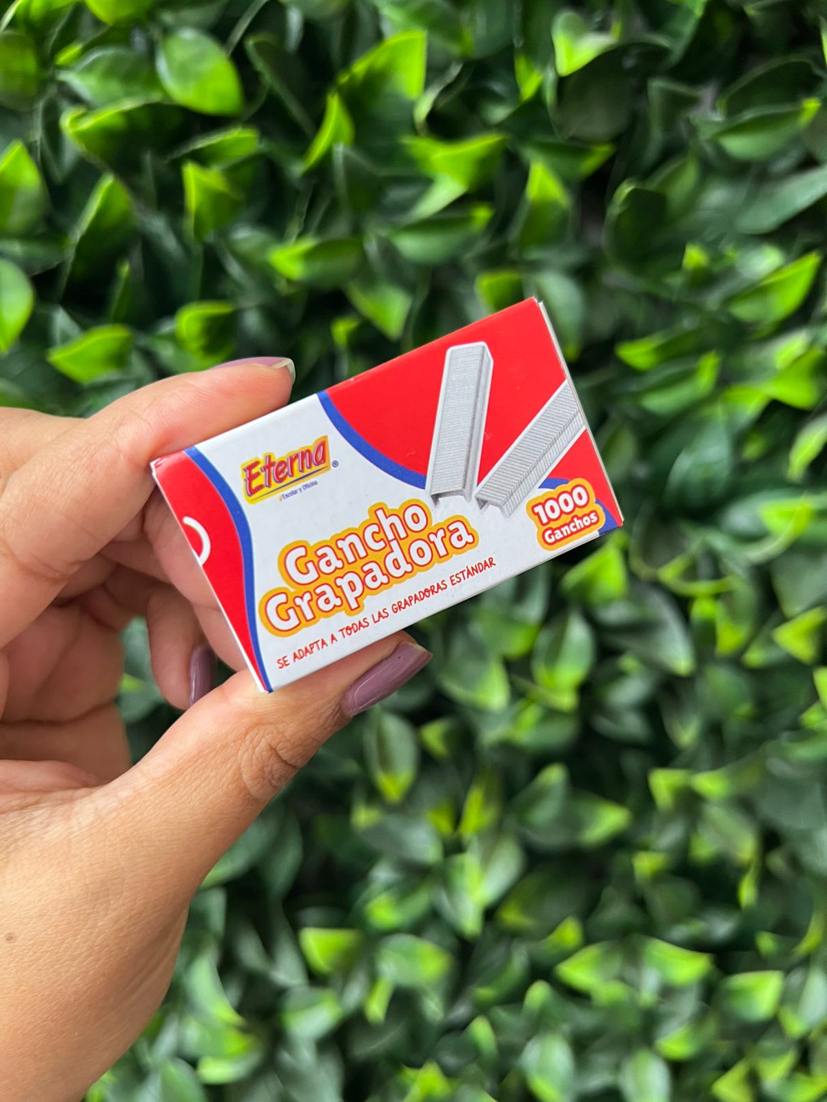 Imagen principal del producto