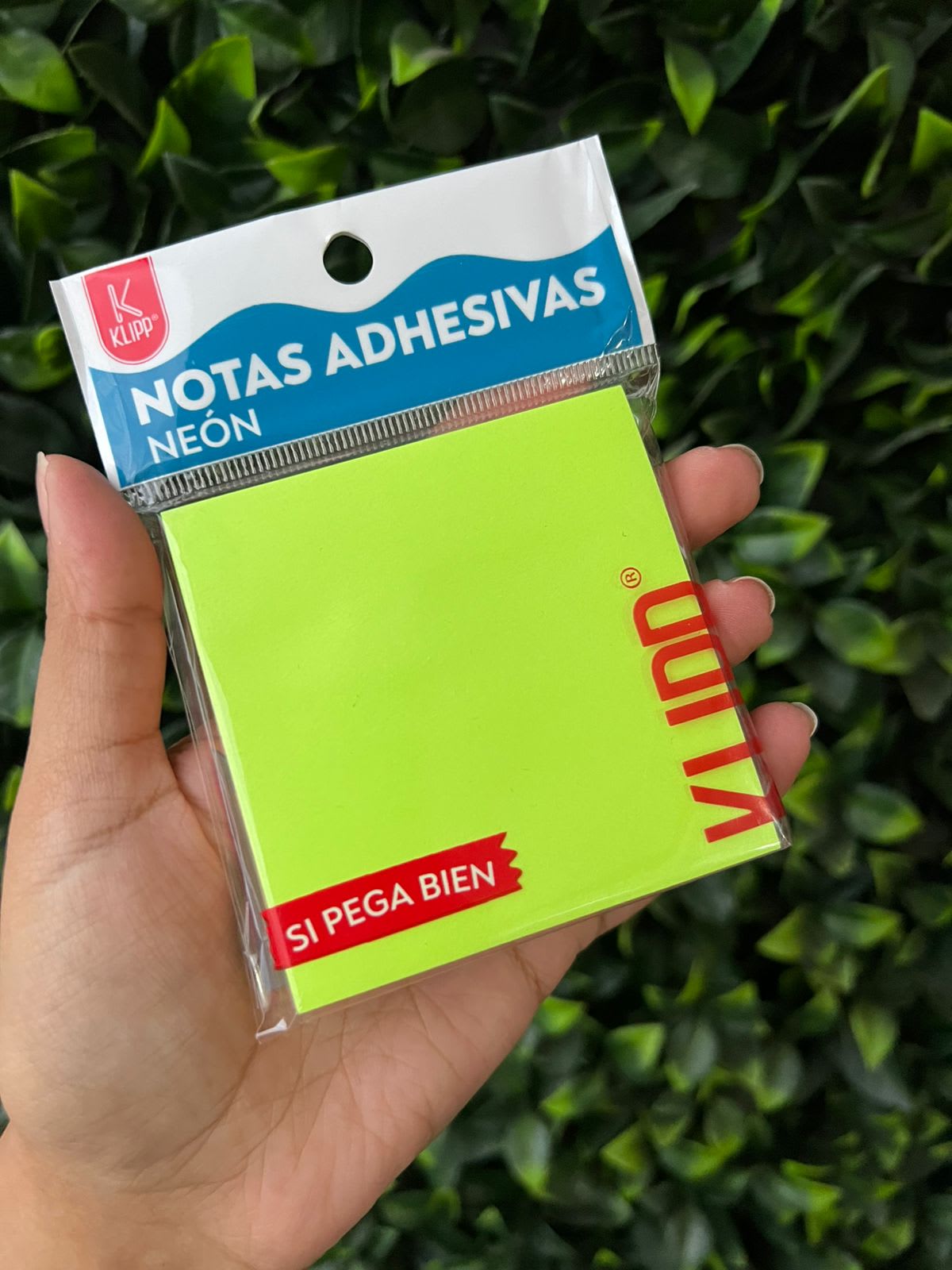 Notas adhesivas neón