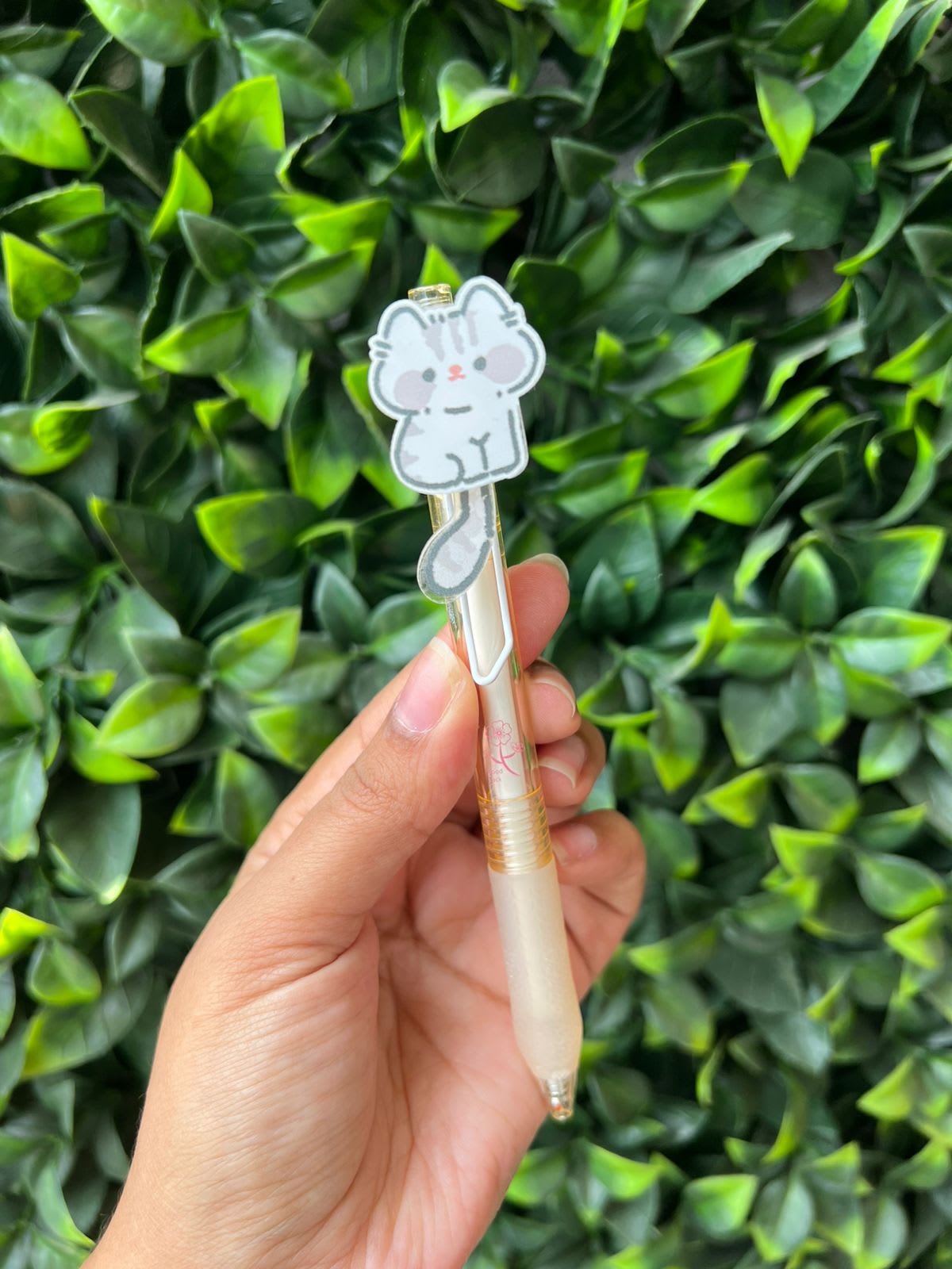 Imagen principal del producto