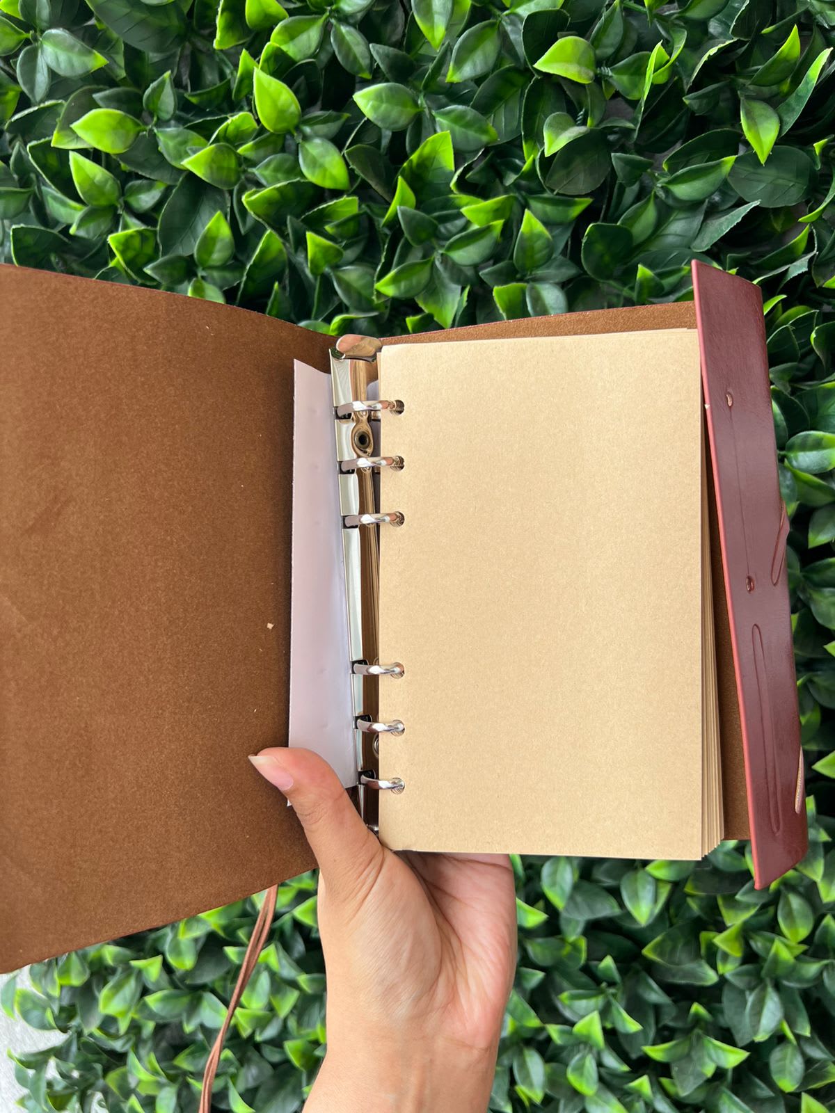 Imagen principal del producto